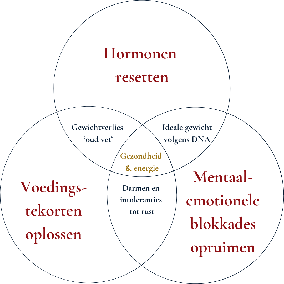 Het Hormoon Reset model: hormonen resetten, voedingstekorten oplossen en mentaal-emotionele blokkades opruimen
